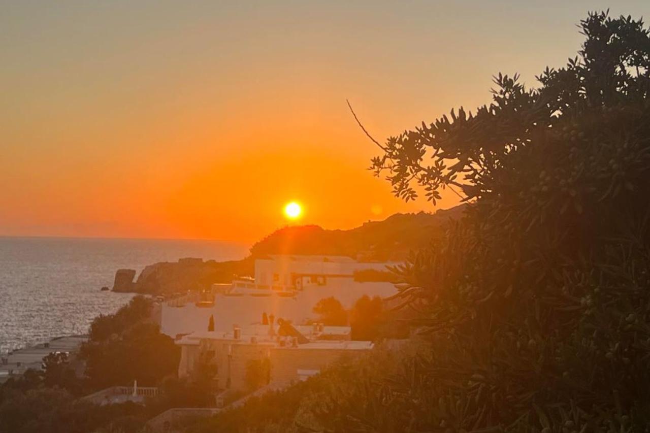 Villa Palma - Sunset Sea Views With Pool, Jacuzzi, Sauna And Games Room メーリッハ エクステリア 写真